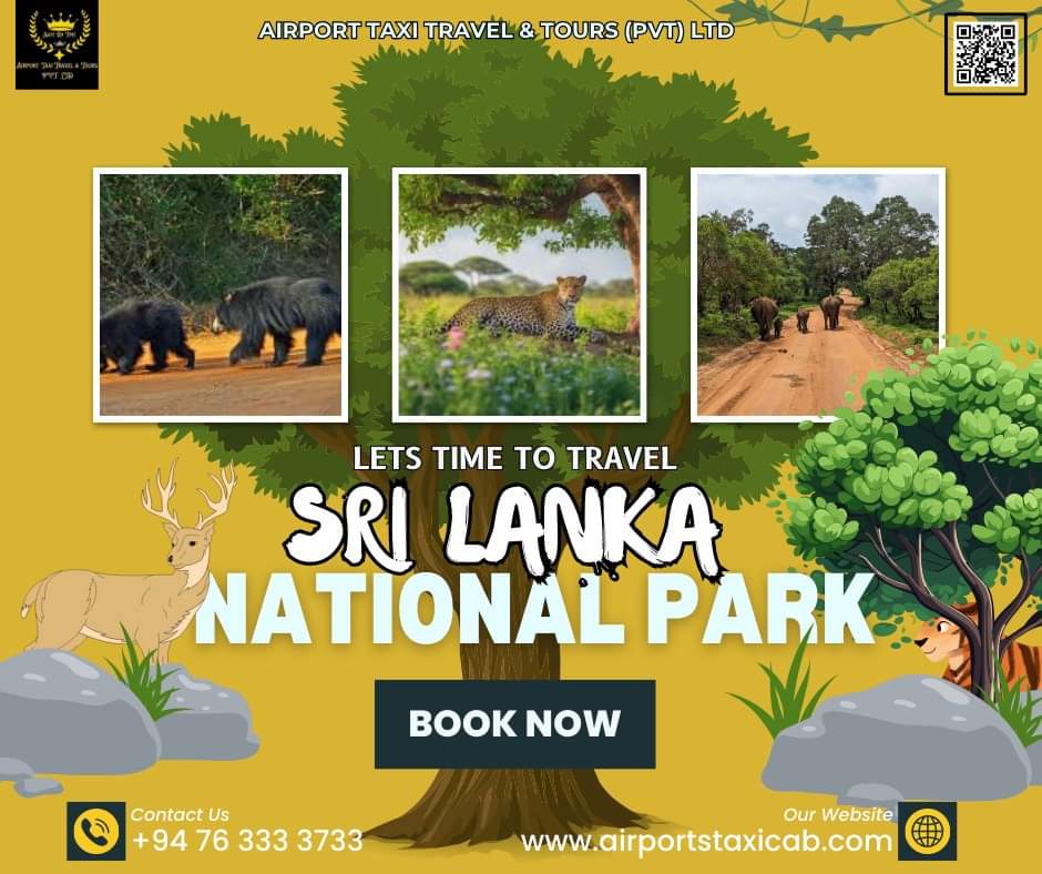 Sri Lanka tour photo 21